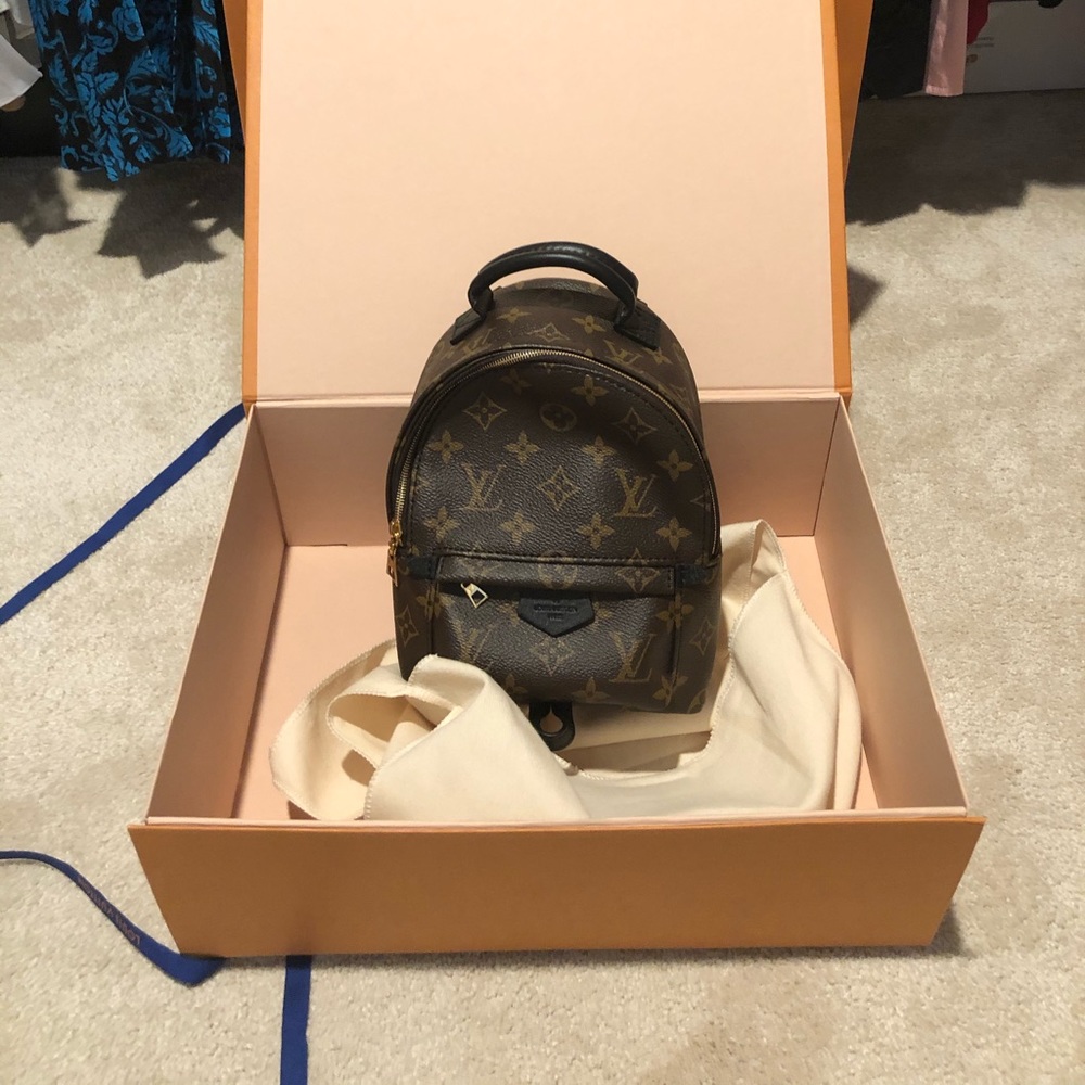 Louis Vuitton Palm Spring mini